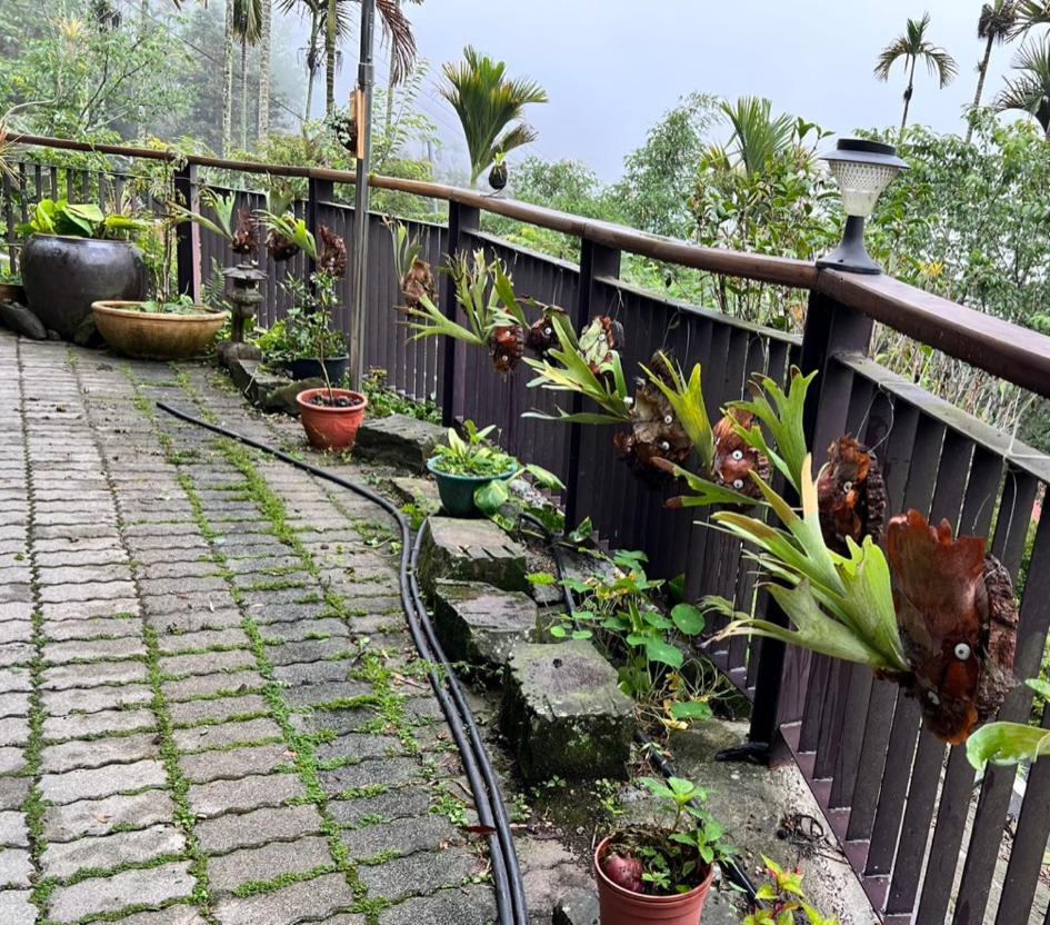 仲明居zhong Ming Ju Taoyi Fang Bed & Breakfast Fanlu Luaran gambar