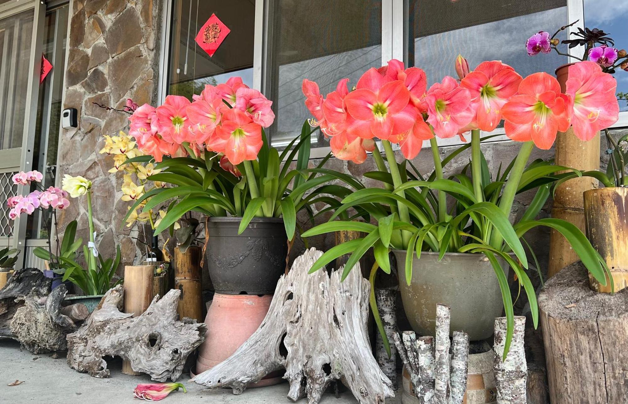 仲明居zhong Ming Ju Taoyi Fang Bed & Breakfast Fanlu Luaran gambar